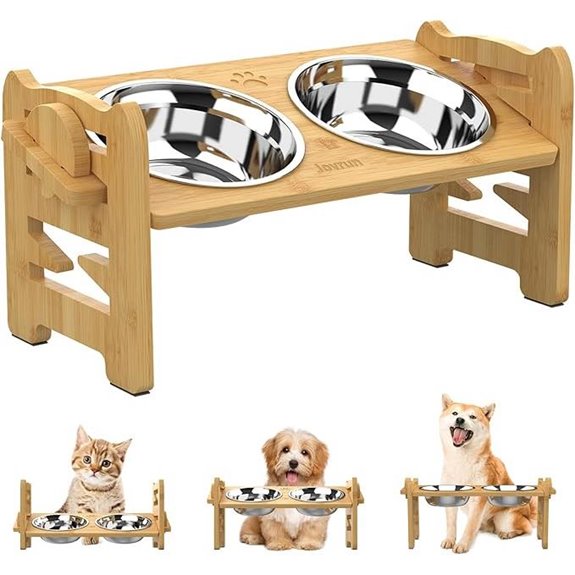 Elevated Dog Bowls with Adjustable Stand and Bowls