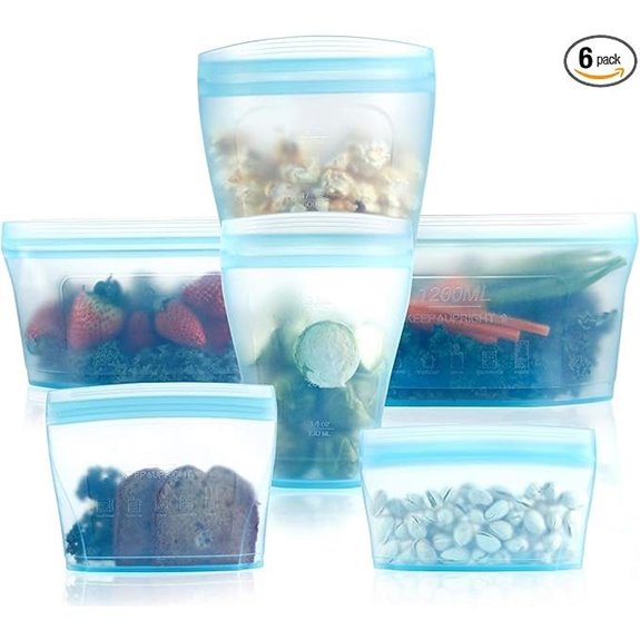 Reusable Silicone Zip Food Storage Bags (6 Pack)