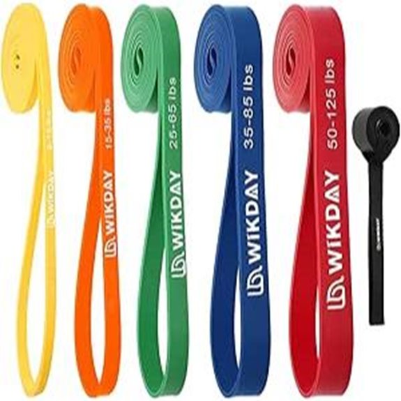 Resistance Bands Set with Door Anchor for Home Gym