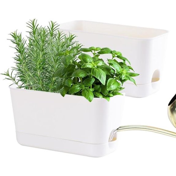 Self-Watering Planters 10-Inch (2-Pack) with Tray