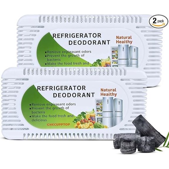 Exle Fridge Deodorizer: Unscented Charcoal 2-Pack
